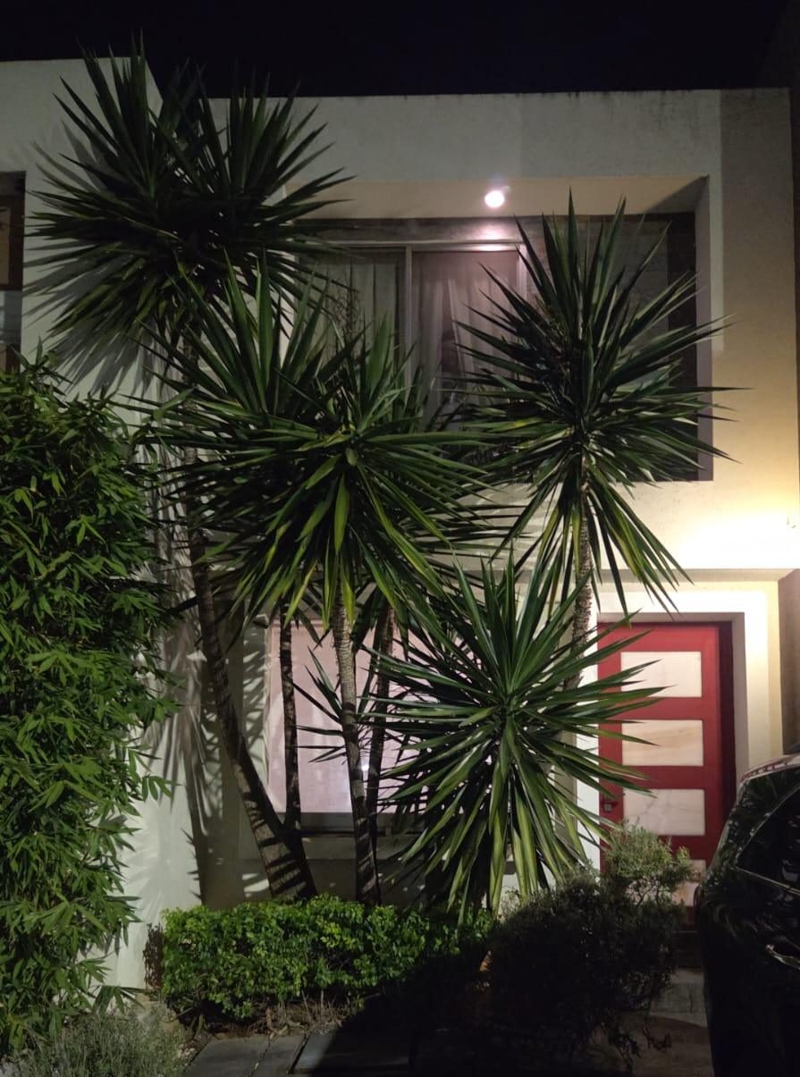 WhatsApp Image 2026-01-23 at 6.39.22 PM (2)