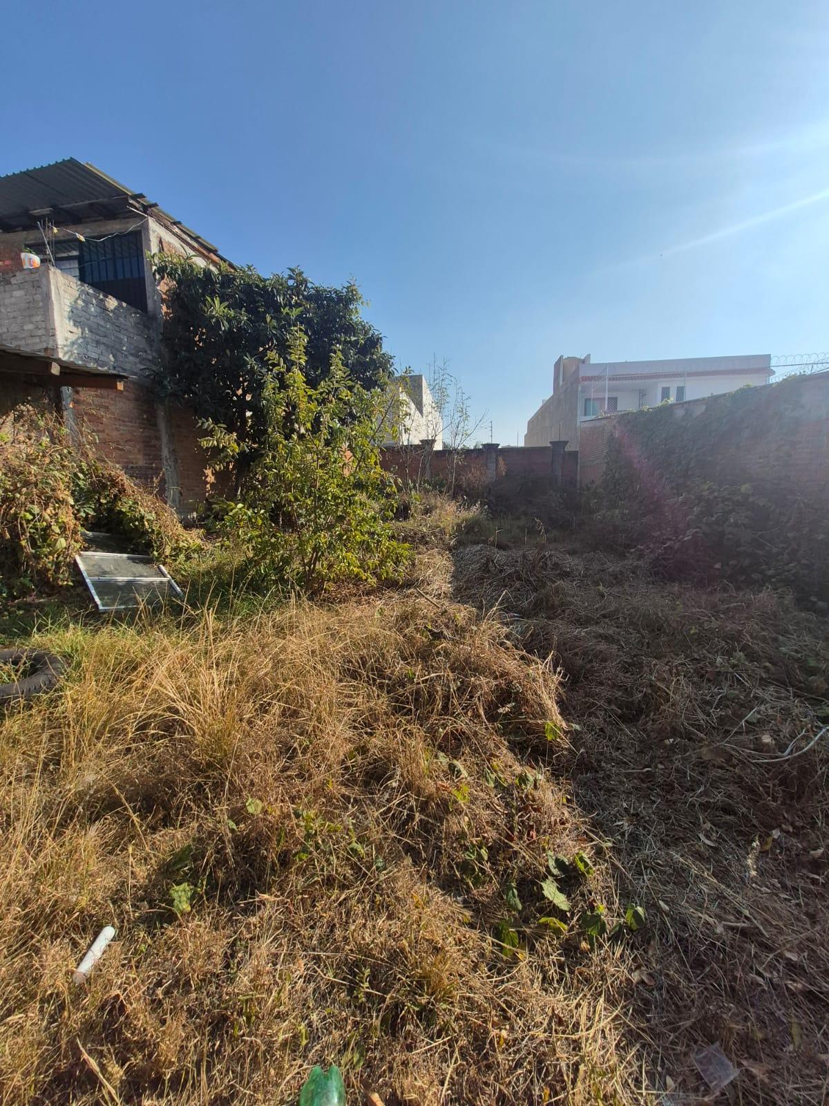 WhatsApp Image 2026-02-12 at 10.45.59 AM (1)