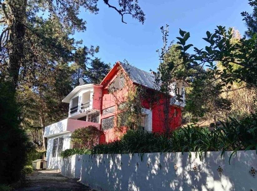 WhatsApp Image 2026-02-13 at 2.25.32 PM (9)