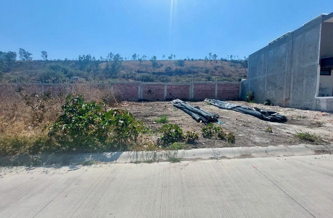 WhatsApp Image 2026-02-19 at 11.22.11 AM