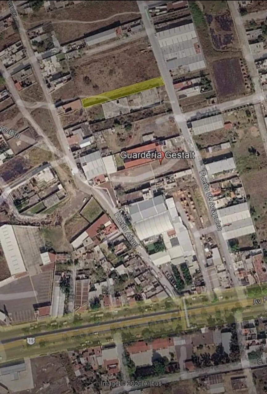 WhatsApp Image 2026-03-05 at 10.14.11 AM