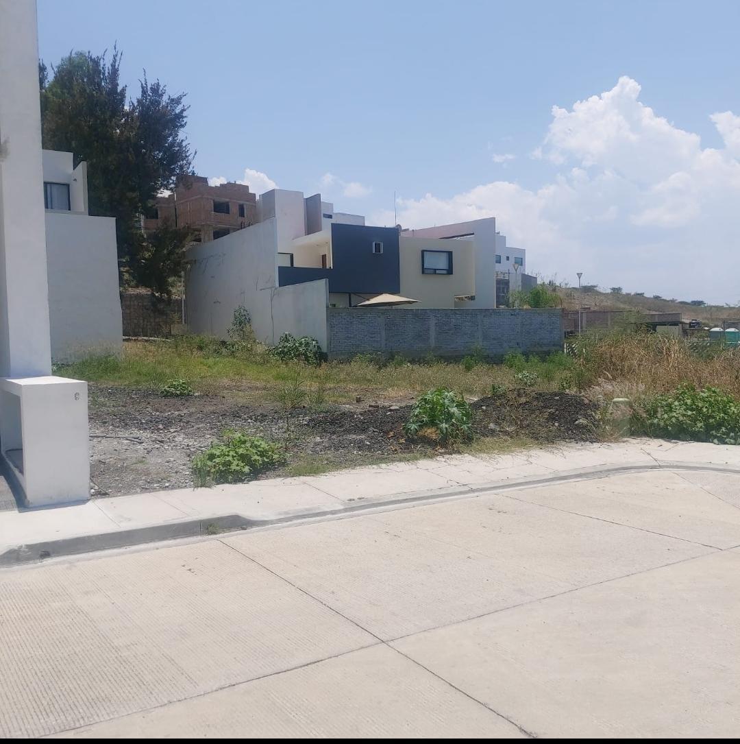 WhatsApp Image 2026-03-27 at 10.31.26 AM (1)